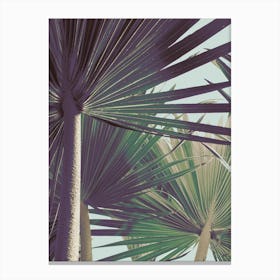 Palm I Canvas Print