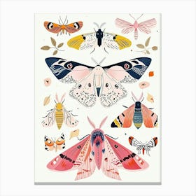 Colourful Insect Illustration Moth 13 Canvas Print
