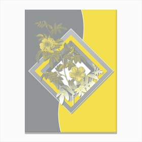 Vintage Musk Rose Botanical Geometric Art in Yellow and Gray n.071 Canvas Print