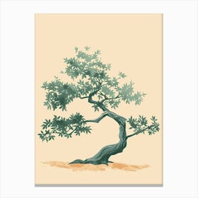 Yew Tree Minimal Japandi Illustration 1 Canvas Print