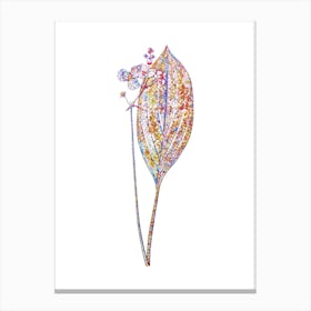 Stained Glass Bulltongue Arrowhead Mosaic Botanical Illustration on White n.0107 Canvas Print