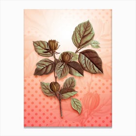 Carolina Allspice Flower Vintage Botanical in Peach Fuzz Polka Dot Pattern n.0123 Canvas Print