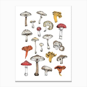 Funghi Canvas Print