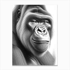 Cheeky Gorilla Gorillas Greyscale Sketch 2 Canvas Print