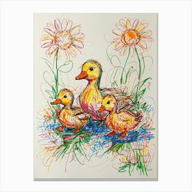 Ducks And Daisies Canvas Print