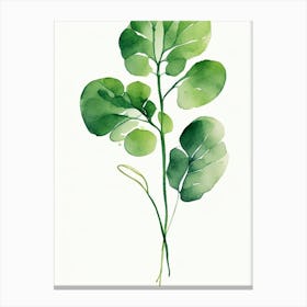 Watercress Leaf Minimalist Watercolour 1 Canvas Print