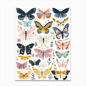 Colourful Insect Illustration Butterfly 22 Canvas Print