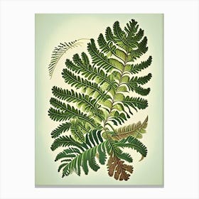 Japanese Painted Fern 1 Vintage Botanical Poster Canvas Print