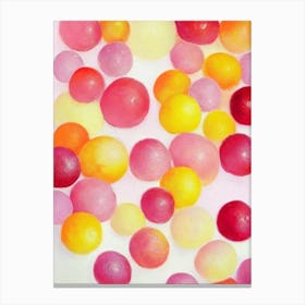 Cranberry Painting Fruit Canvas Print