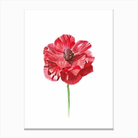 Anemone Red Flower Canvas Print