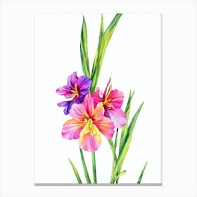 Gladioli 2  Watercolour Flower Canvas Print