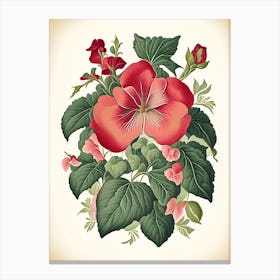 Impatiens 1 Floral Botanical Vintage Poster Flower Canvas Print