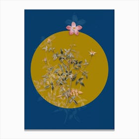 Vintage Botanical Single Dwarf Chinese Rose on Circle Yellow on Blue Canvas Print