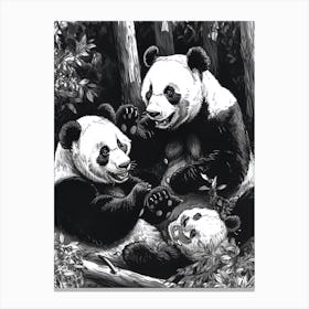 Giant Panda Playing Together In A Forest Ink Illustration 1 Canvas Print