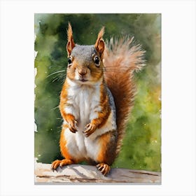 Central American Dwarf Squirrel Canvas Print