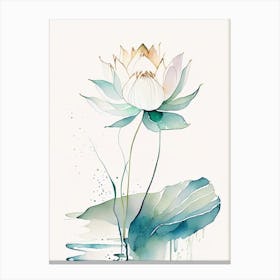 Blooming Lotus Flower In Lake Minimal Watercolour 4 Canvas Print