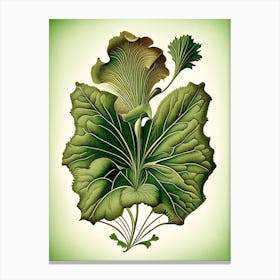 Primrose Leaf Vintage Botanical 2 Canvas Print