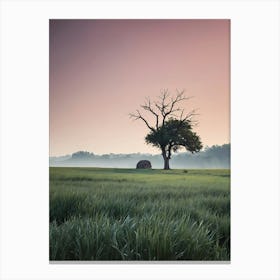 Lone Tree In The Field 1 Canvas Print