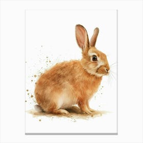 Himalayan Rabbit Nursery Illustration 2 Canvas Print