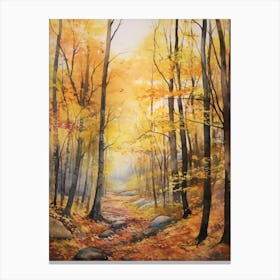 Autumn Forest Landscape The Forest Of Fontainebleau Canvas Print