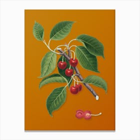 Vintage Sour Cherry Botanical on Sunset Orange n.0652 Canvas Print