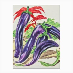 Chinese Eggplant 2 Fauvist vegetable Canvas Print