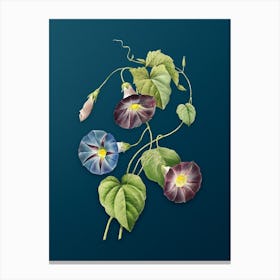 Vintage Morning Glory Botanical Art on Teal Blue n.0819 Canvas Print