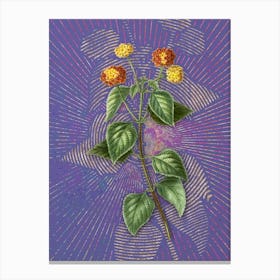 Vintage Tickberry Botanical Illustration on Veri Peri n.0942 Canvas Print