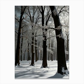 Winter Forest 5 Canvas Print