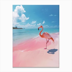 Greater Flamingo Pink Sand Beach Bahamas Tropical Illustration 8 Canvas Print