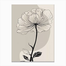 Line Art Marigold Flowers Illustration Neutral 16 Canvas Print