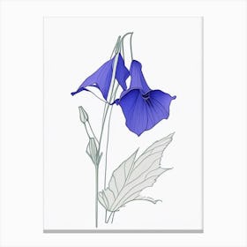 Canterbury Bell Floral Minimal Line Drawing 2 Flower Canvas Print