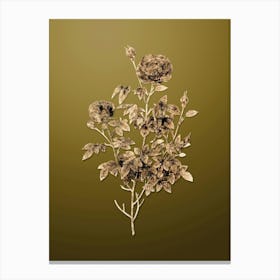 Gold Botanical Burgundy Cabbage Rose on Dune Yellow n.3650 Canvas Print
