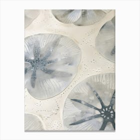 Sand Dollar 3 Canvas Print