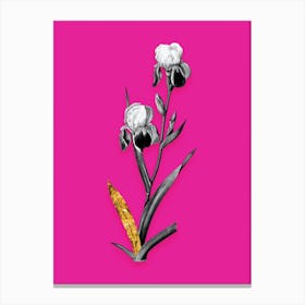 Vintage Elder Scented Iris Black and White Gold Leaf Floral Art on Hot Pink n.1053 Canvas Print