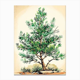 Juniper Tree Storybook Illustration 3 Canvas Print
