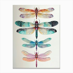 Colourful Insect Illustration Dragonfly 3 Canvas Print