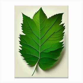 Elm Leaf Vibrant Inspired 1 Canvas Print