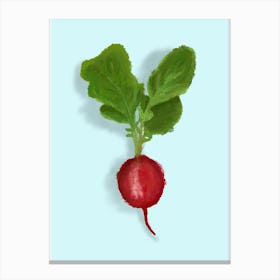 Radish Canvas Print