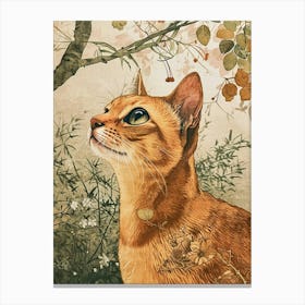 Abyssinian Cat Japanese Illustration 1 Canvas Print