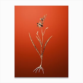 Gold Botanical Ixia Secunda on Tomato Red n.0510 Canvas Print