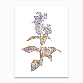 Stained Glass White Gillyflower Bloom Mosaic Botanical Illustration on White n.0100 Canvas Print