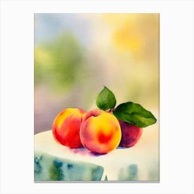 Peach Italian Watercolour fruit Canvas Print