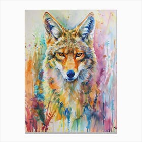 Coyote Colourful Watercolour 3 Canvas Print