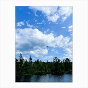 Eagle Flying Over Lake Canvas Print