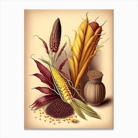 Corn Silk Spices And Herbs Retro Drawing 1 Canvas Print