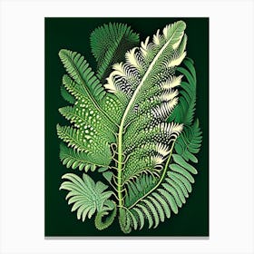 Tasmanian Tree Fern Vintage Botanical Poster Canvas Print