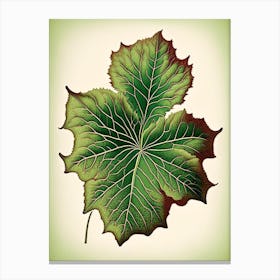 Malva Leaf Vintage Botanical 1 Canvas Print