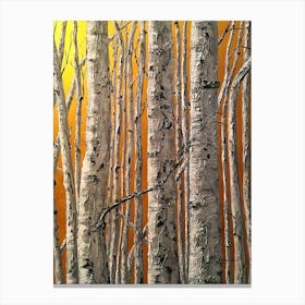 Birch Trees 1 Canvas Print