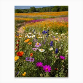 Wildflower Field 2 Canvas Print